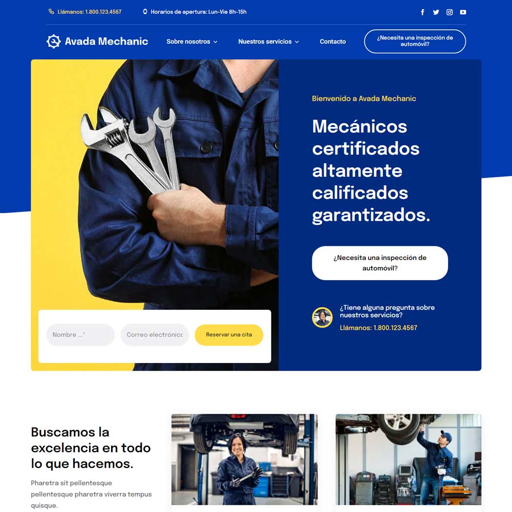 Web Institucional